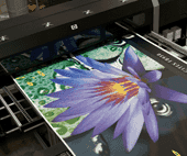 http://webwinkel.janssengrafimedia.nl/jg/Content/images/article/op plaat printen.png